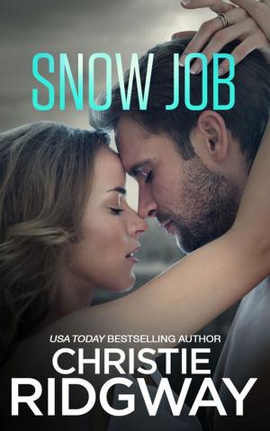 Cover of the book Snow Job by Timothy Reynolds