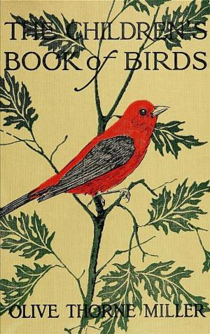 Book cover of The Children's Book Of Birds