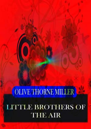 Cover of the book Little Brothers Of The Air by John Hartley