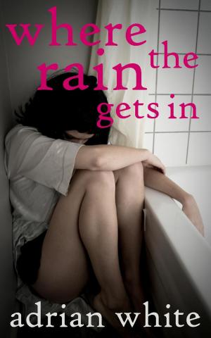 Cover of the book Where the Rain Gets In by George W Parker