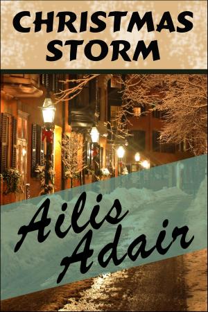 Cover of the book Christmas Storm by Laure Conan