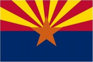 Cover of Bankruptcy In Arizona