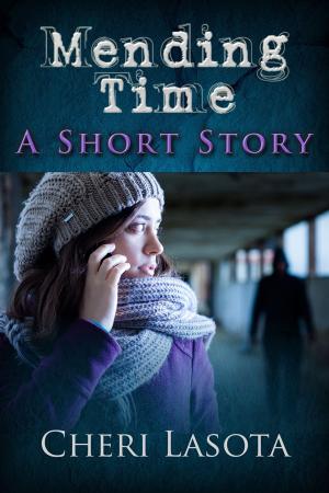 Cover of the book Mending Time by Kimberly Van Meter