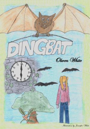 Cover of the book Adventures in Trickle Valley: Dingbat by Robert Luis Rabello