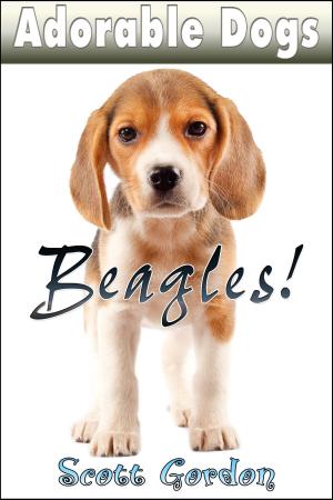 Book cover of Adorable Dogs: Beagles!