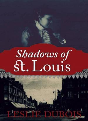 Cover of the book Shadows of St. Louis by Brian David Bruns