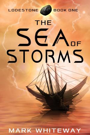 Book cover of Lodestone Book One: The Sea of Storms