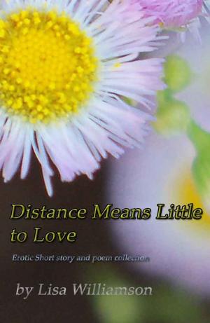 Cover of the book Distance Means Little to Love by Amanda Brenner
