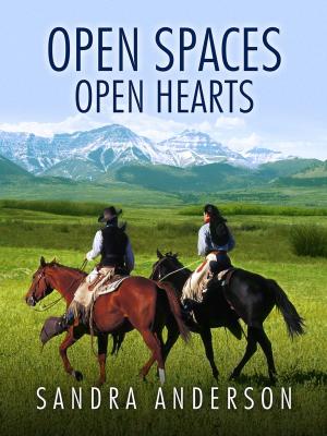 Book cover of Open Spaces Open Hearts