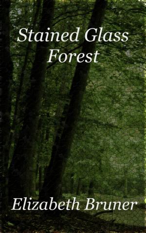 Book cover of Stained Glass Forest