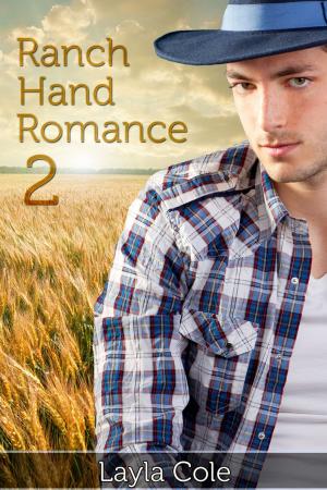 Cover of the book Ranch Hand Romance 2 by Cinzia De Santis