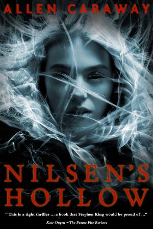Book cover of Nilsen's Hollow