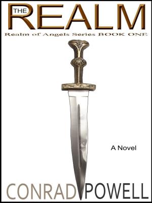 Cover of the book The Realm: A Novel (Realm of Angels Series, Book One) by J.S. Skye