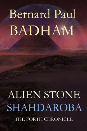 Book cover of Alien Stone