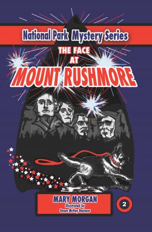 Book cover of The Face at Mount Rushmore