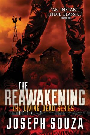 Cover of the book The Reawakening by Michael Clary