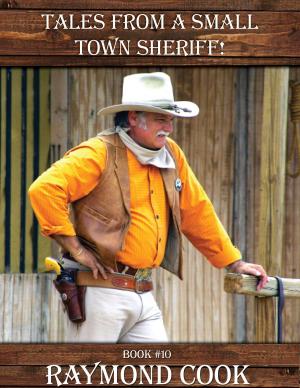 Cover of the book Tales From A Small Town Sheriff! by Raymond Cook