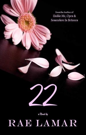 Cover of the book 22 by Allie Kincheloe