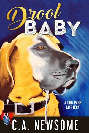 bigCover of the book Drool Baby by 