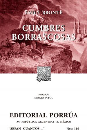 Cover of the book Cumbres borrascosas by Homero
