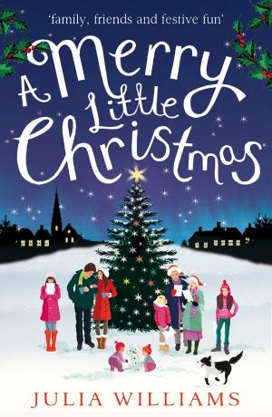 Cover of the book A Merry Little Christmas by Maeve Friel