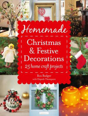 Cover of the book Homemade Christmas and Festive Decorations: 25 Home Craft Projects by E. V. Seymour