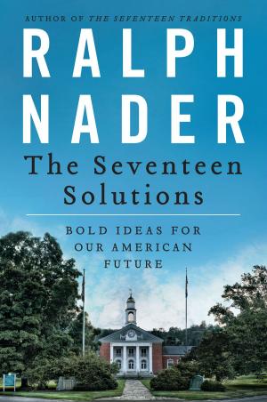 Cover of the book The Seventeen Solutions by Renée Knight