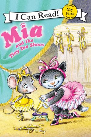 Cover of the book Mia and the Tiny Toe Shoes by J.B. O'Neil
