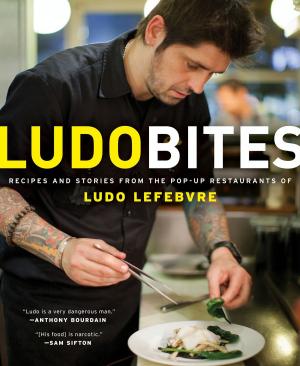Cover of the book LudoBites by T.C. Boyle
