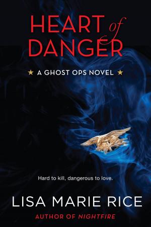 Cover of the book Heart of Danger by Phillip Rock