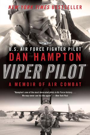 Cover of the book Viper Pilot by Phoebe Damrosch