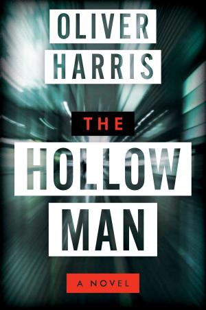 Cover of the book The Hollow Man by Serena Kent
