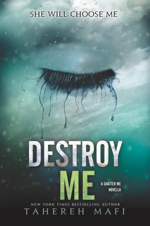 Cover of the book Destroy Me by Erin Hunter