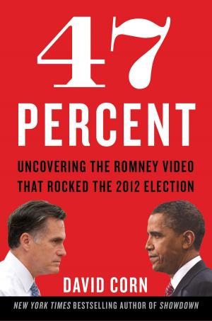 Book cover of 47 Percent