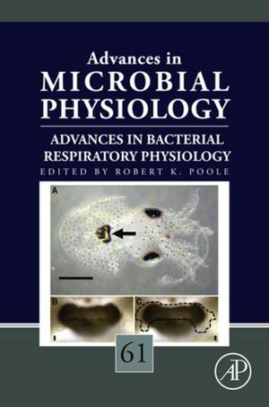 Cover of the book Advances in Bacterial Respiratory Physiology by 