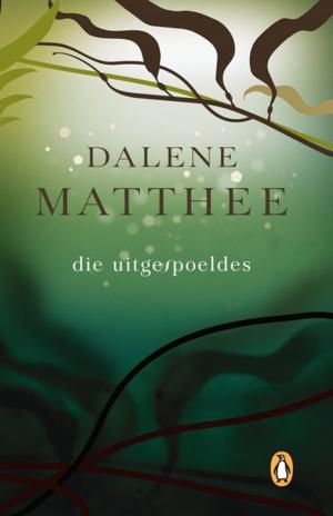 Cover of Die Uitgespoeldes by Dalene Matthee, Penguin Random House South Africa