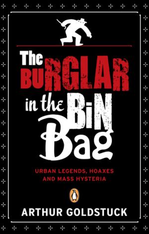 Book cover of The Burglar in the Bin Bag