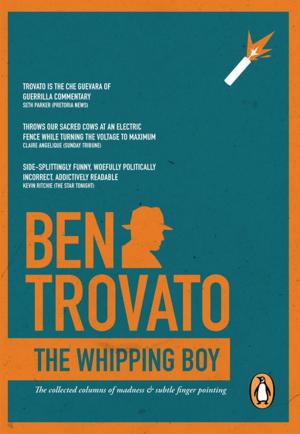 Cover of the book The Whipping Boy by Marita van der Vyver