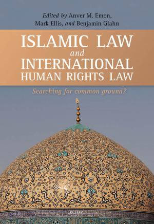 Cover of the book Islamic Law and International Human Rights Law by R..M Ritter
