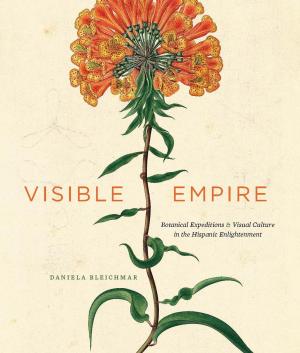 Cover of the book Visible Empire by Robert M. Entman, Andrew Rojecki