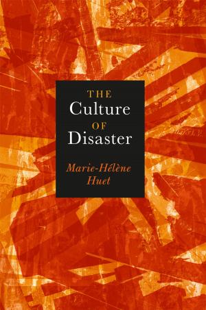 bigCover of the book The Culture of Disaster by 
