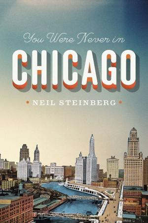 Cover of the book You Were Never in Chicago by Stuart Elden