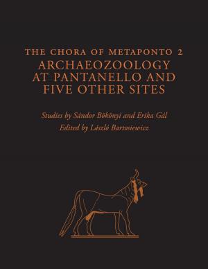 bigCover of the book The Chora of Metaponto 2 by 
