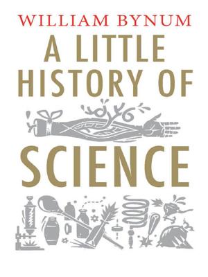 Cover of the book A Little History of Science by Joseph Margulies
