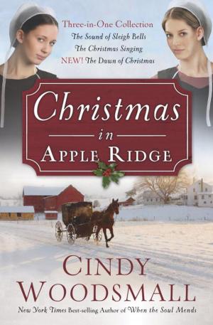 Cover of the book Christmas in Apple Ridge by Mother Teresa