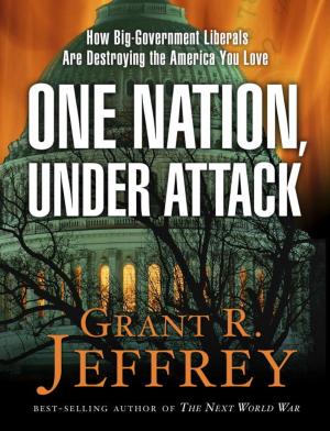 Book cover of One Nation, Under Attack