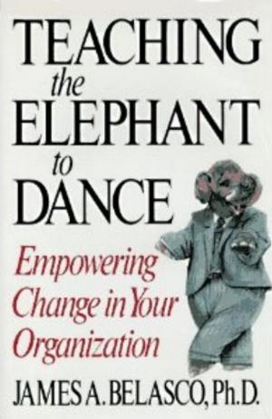 Book cover of Teaching The Elephant To Dance