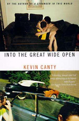Book cover of Into the Great Wide Open