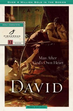 Cover of the book David by Brenda Hunter