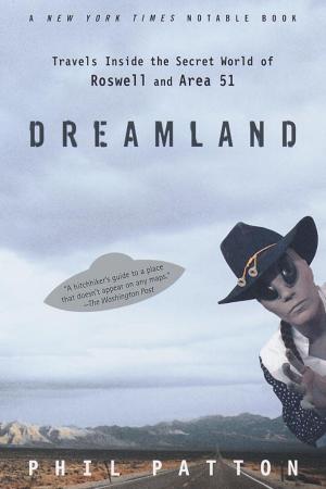 Cover of the book Dreamland by Richard K. Morgan